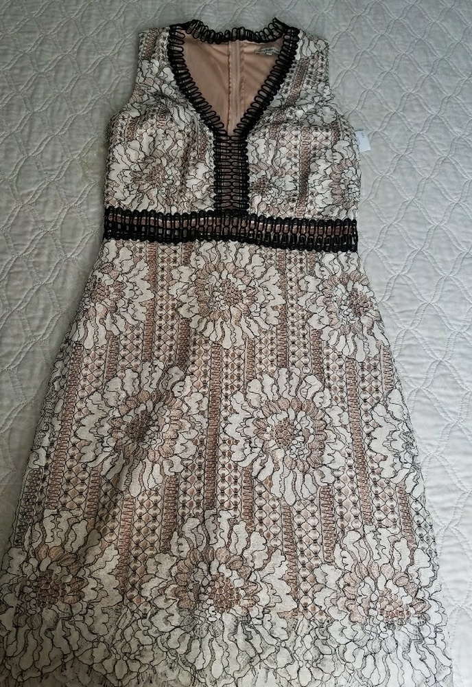 Charlotte russe lace dress